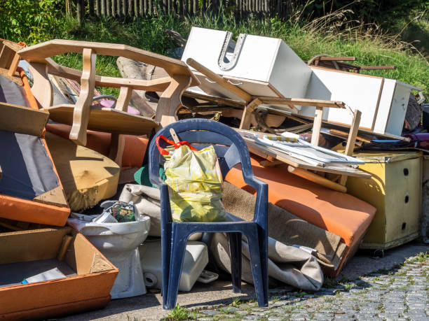 Best Basement Cleanout Services  in Scotland Neck, NC