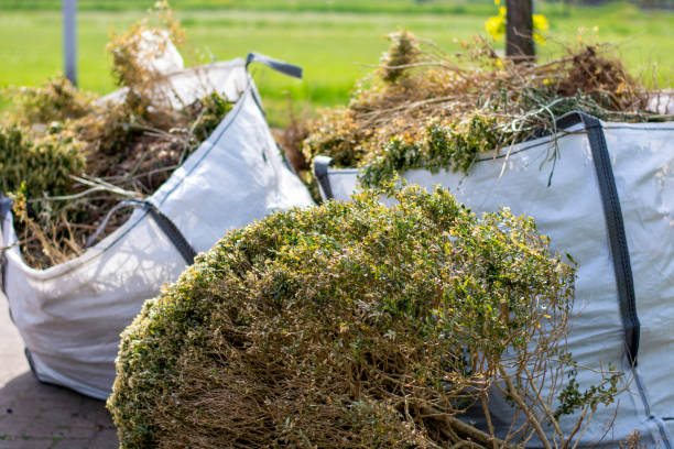 Best Local Junk Hauling  in Scotland Neck, NC